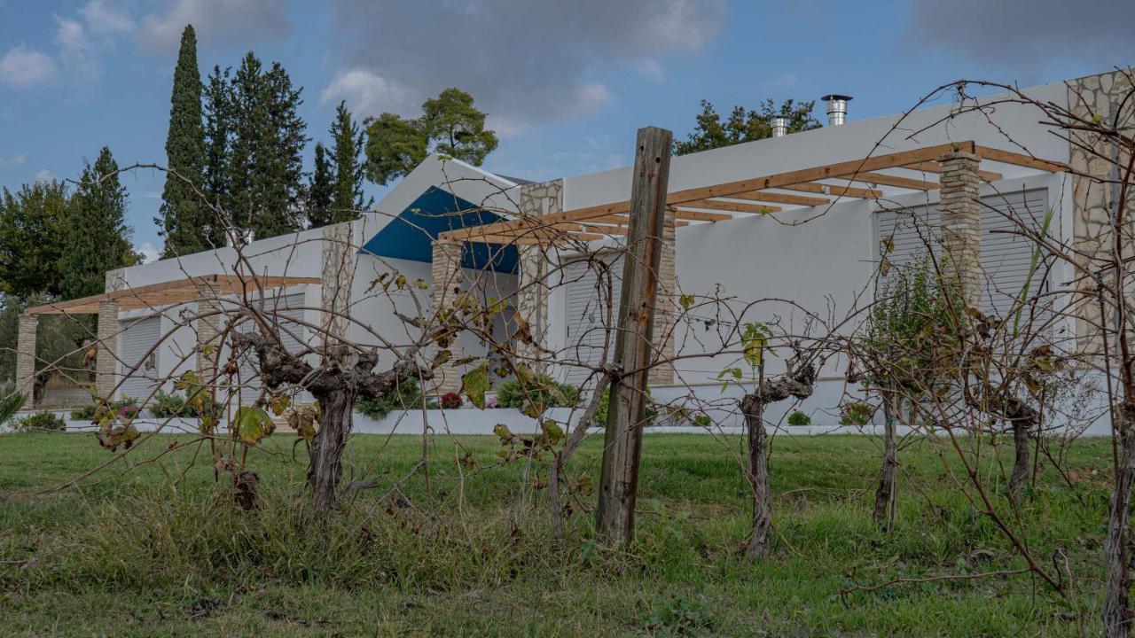 דירות Smila Atrium Vinea Brintziki Winery מראה חיצוני תמונה