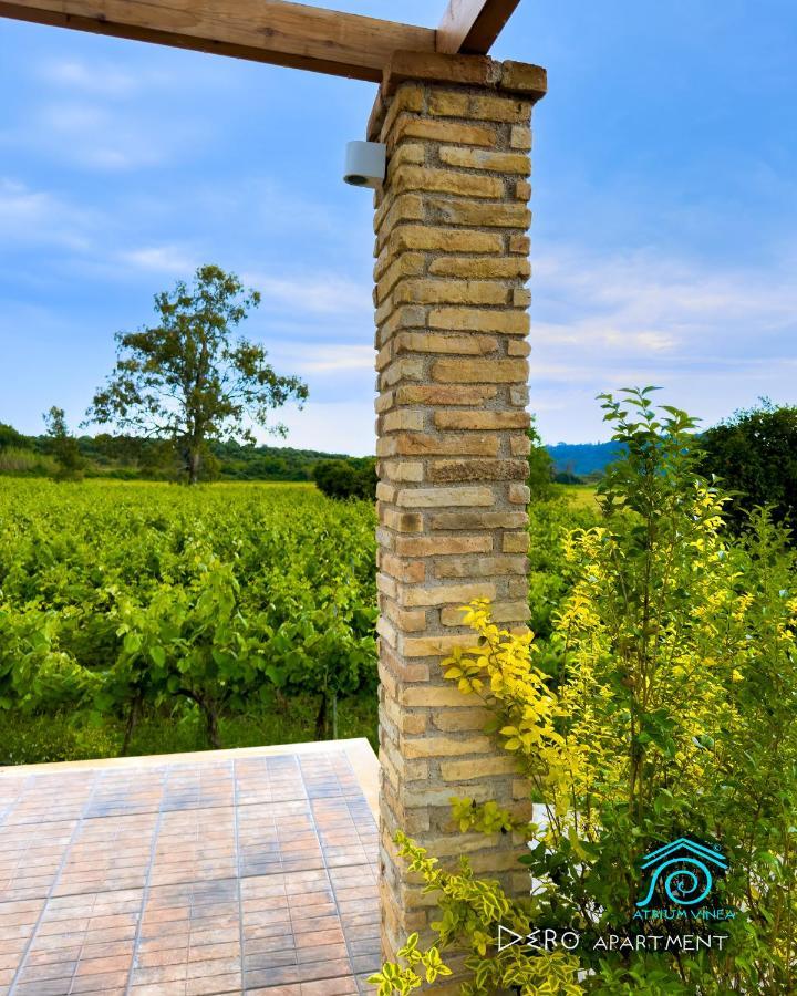דירות Smila Atrium Vinea Brintziki Winery מראה חיצוני תמונה